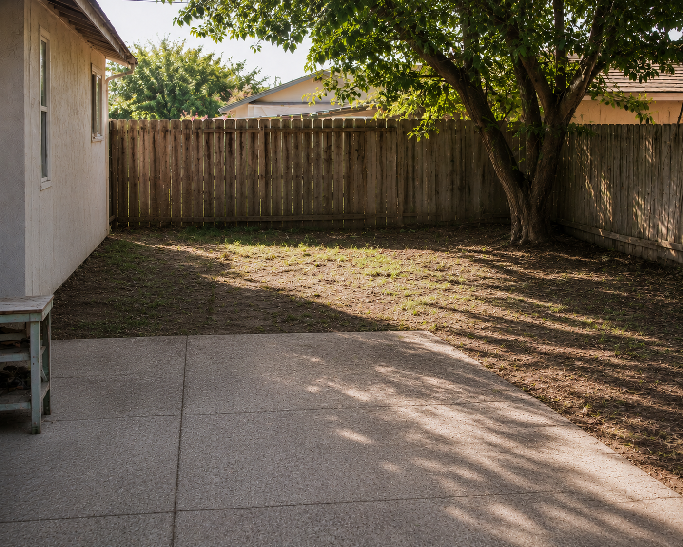 Backyard cleanup after